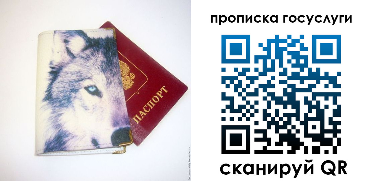 прописка в Светогорске