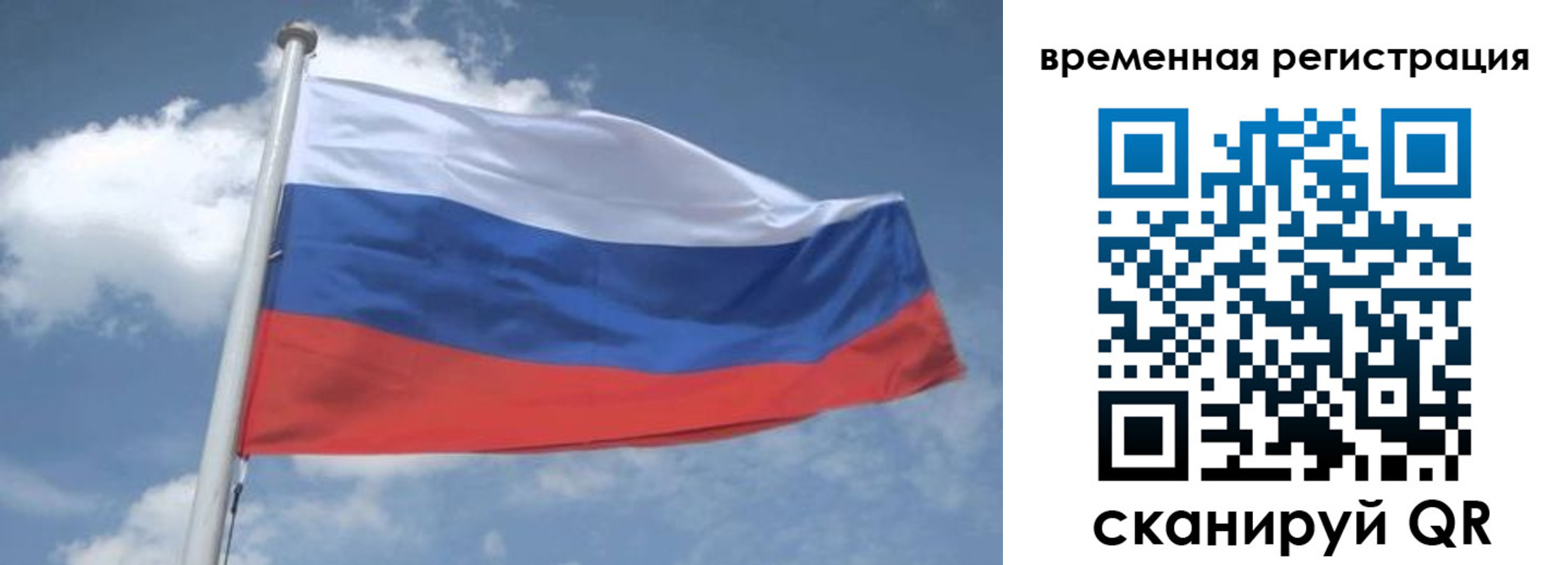прописка для школы в Светогорске