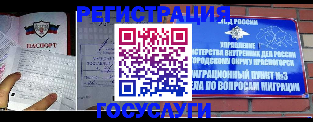 регистрация через Госуслуги в Светогорске